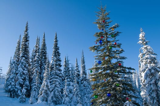 Tree in a winter forest decorated for Christmas