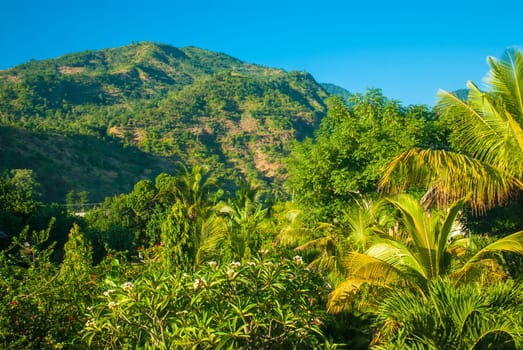 Forest path and the hills of Bali