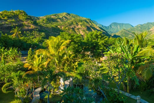 Forest path and the hills of Bali