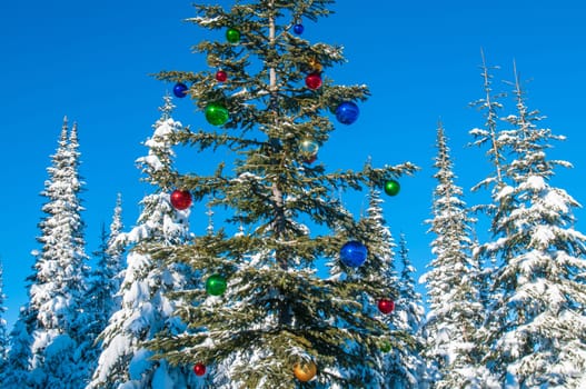 Tree in a winter forest decorated for Christmas