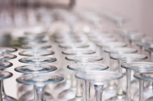 Wine glasses lined up for serving at a buffet