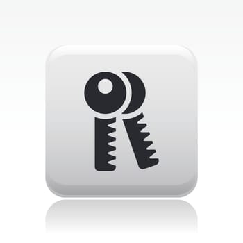 Vector illustration of single isolated keys icon