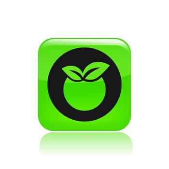 Vector illustration of single isolated fruit icon