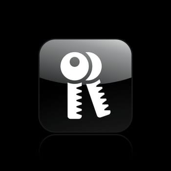 Vector illustration of single isolated keys icon