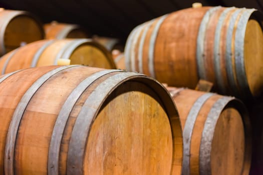 Barrels of South African in the Stellenbosch region