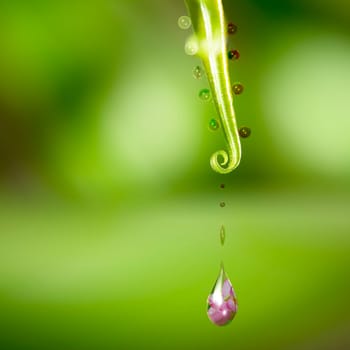 Water drop with nice flower in it for adv or others purpose use