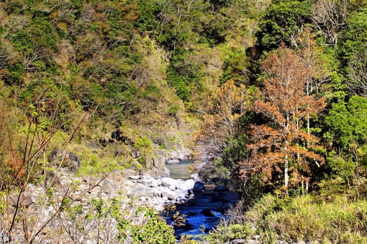 Autumn waterfall for adv or others purpose use
