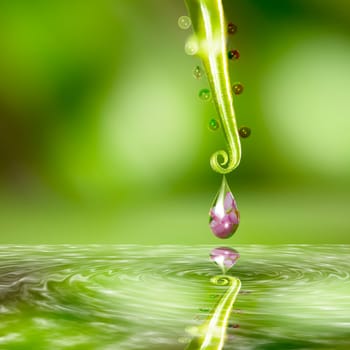 Water drop with nice flower in it for adv or others purpose use