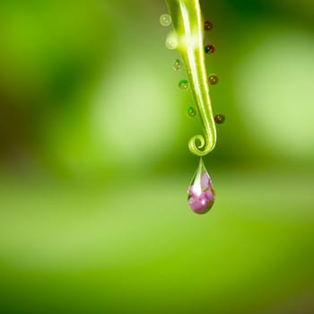 Water drop with nice flower in it for adv or others purpose use