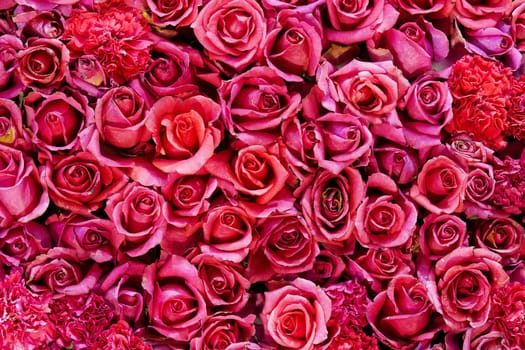 Fine rose for adv or others purpose use