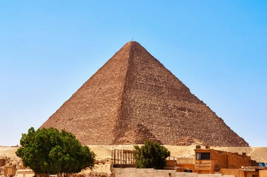 CHEOPS PYRAMID WITH TREES