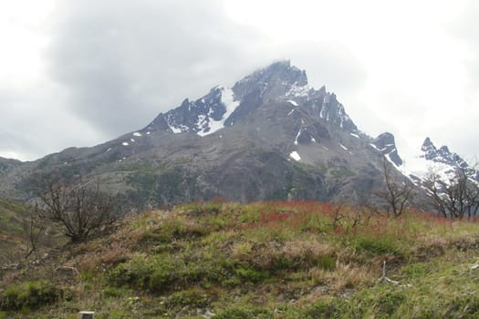 W Trek on Torres Del Paine Park