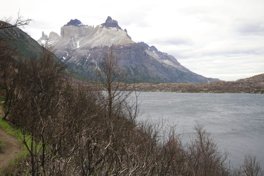 W Trek on Torres Del Paine Park