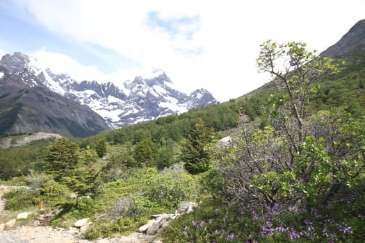W Trek on Torres Del Paine Park