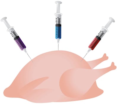 Poultry Chicken Injected with Syringes of Hormones Steroids and Antibiotics Illustration Isolated on White Background