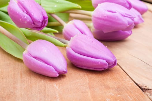 Closeup of Fresh Violet Tulips on Wooden Table