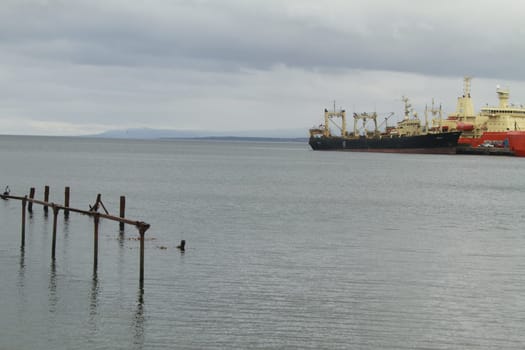 Punta Arenas Chile