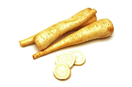 Parsley root (Petroselinum crispum)