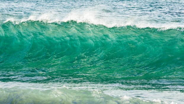 Surf wave