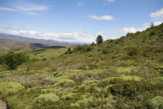 W Trek on Torres Del Paine Park