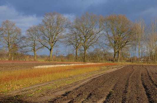 Winterfeld