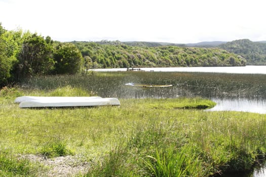 Parque nacional de chiloe