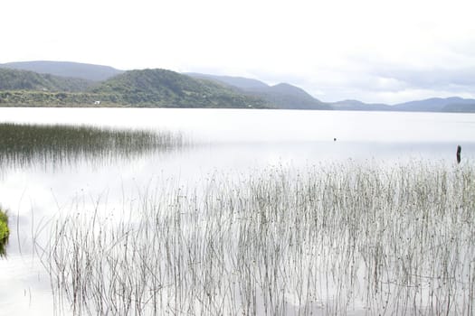 Parque nacional de chiloe