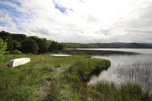 Parque nacional de chiloe