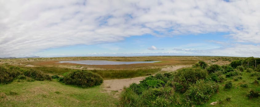 Parque nacional de chiloe