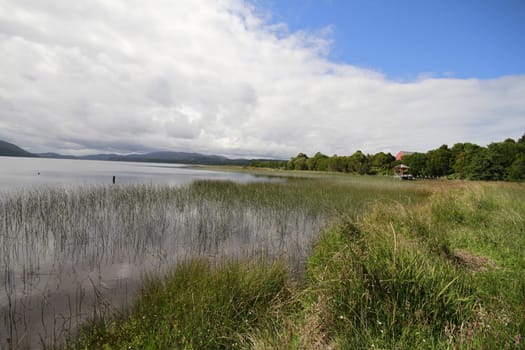 Parque nacional de chiloe