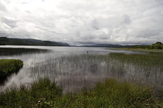 Parque nacional de chiloe