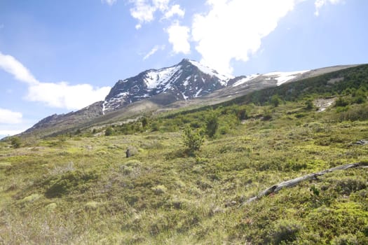 W Trek on Torres Del Paine Park
