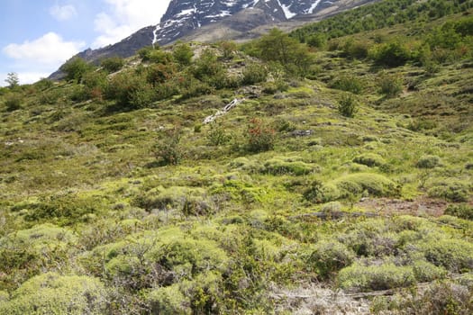 W Trek on Torres Del Paine Park