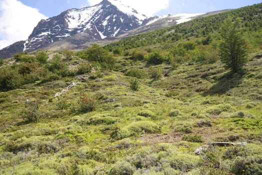 W Trek on Torres Del Paine Park