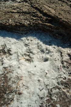 sea salt crystals on the beach