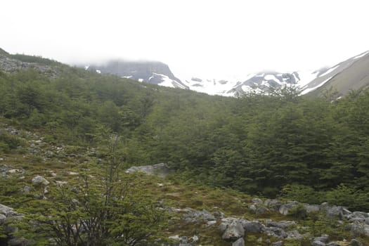 W Trek on Torres Del Paine Park
