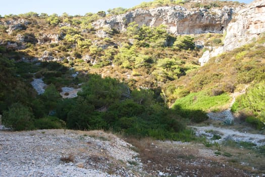 rocky scrubby landscape from vis island (croatia)