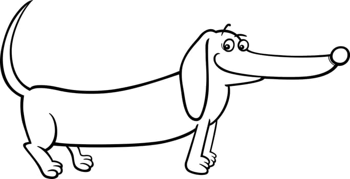 Black and White Cartoon Illustration of Cute Purebred Dachshund Dog for Coloring Book