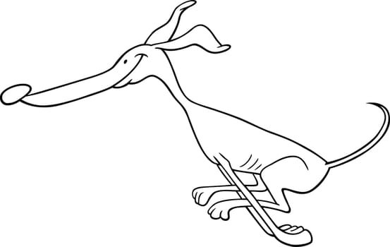 Cartoon Illustration of Funny Purebred Running Greyhound Dog for Coloring Book or Coloring Page