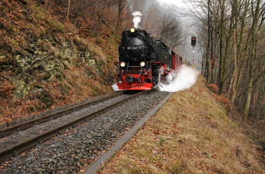 The Harz narrow-gauge railway on the way to the Brocken