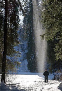 Snowfall from the trees