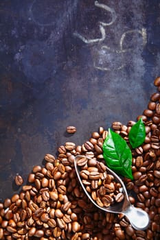 Pile of scattered freshly roasted coffee beans on an old slate chalkboard with scribblings and copyspace with a metal scoop for dispensing them resting on top