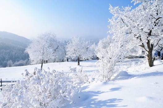Winter Landscape in Upper Austria