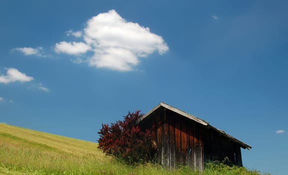 Small wooden Hut in the Pasture