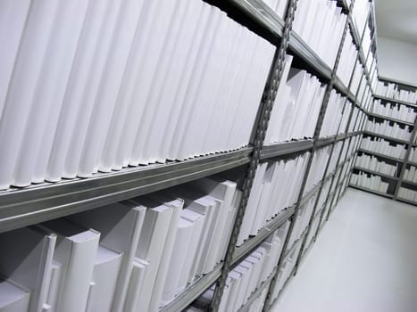 Shelf with blank white Books