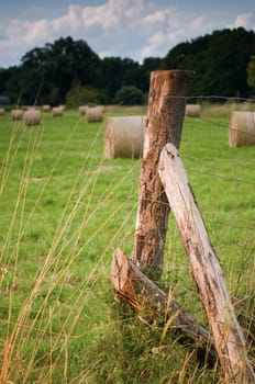 Straw bales in roll form on a harvested field with supported wooden fence post in the foreground