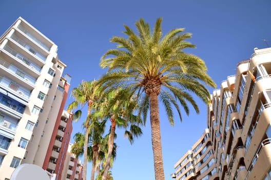 Apartment buildings in Calpe resort in Spain