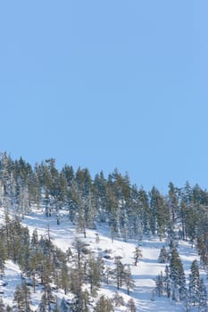 snowy mountains