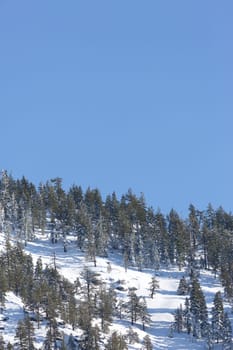 snowy mountains