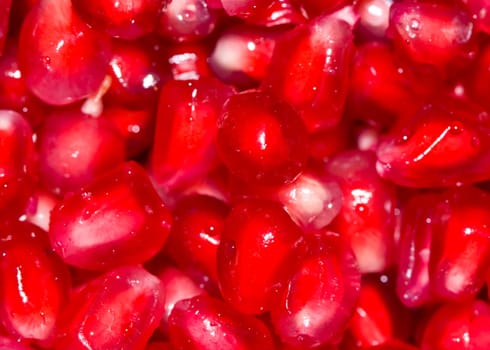Pomegranate seeds background - macro view